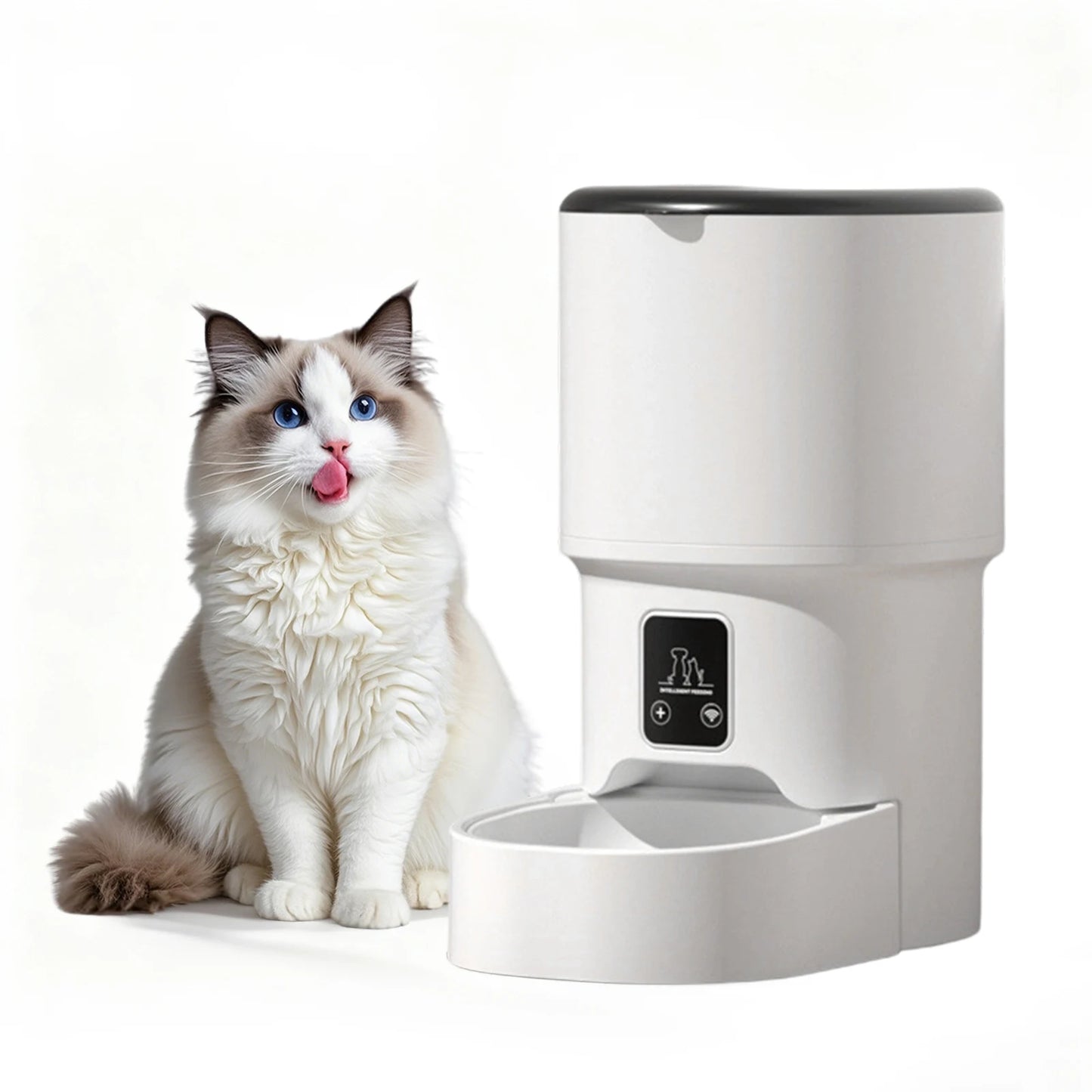 HiMISS Programmable 4L Automatic Pet Feeder for Small Dogs Cats