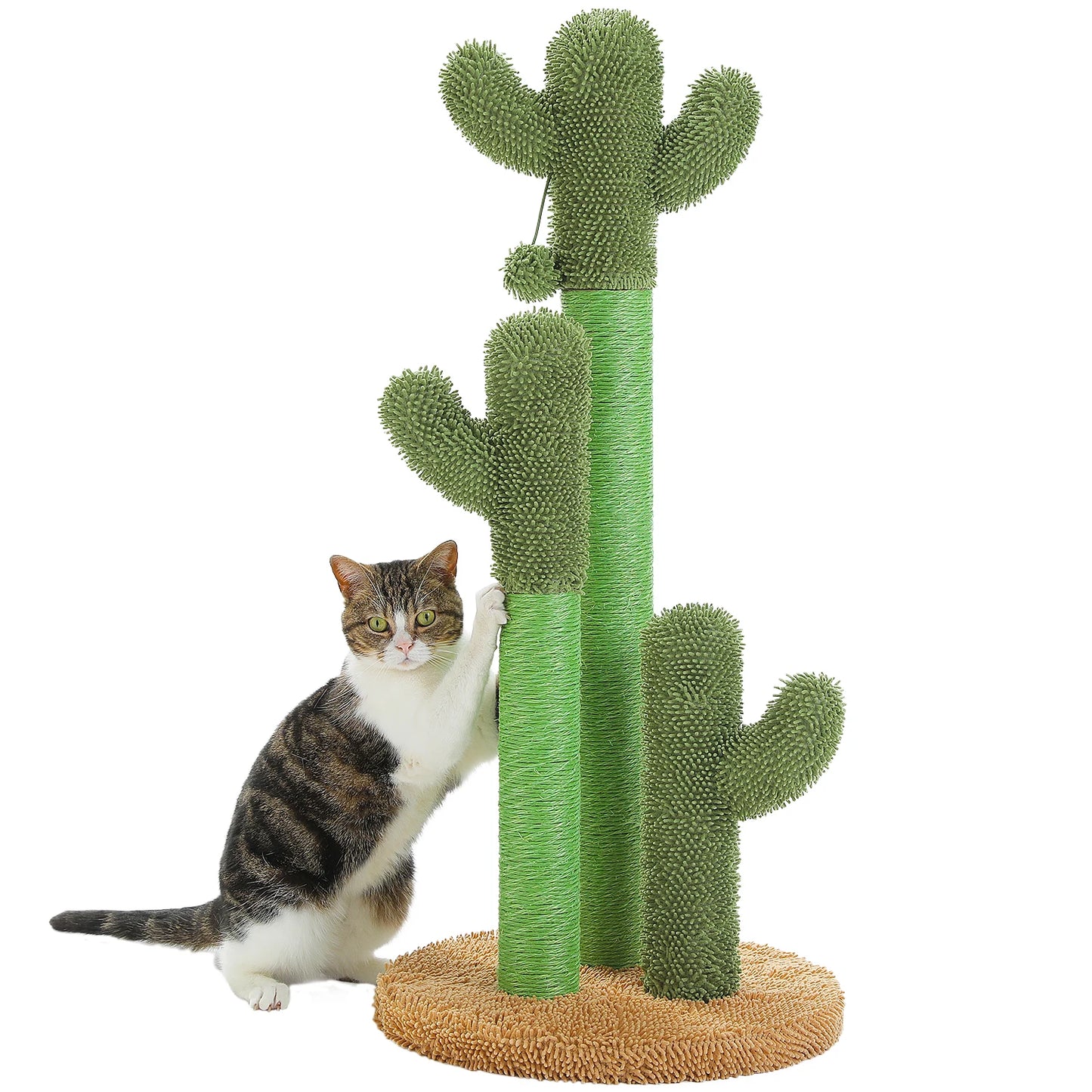 PEQULTICN Cactus Cat Tree With Large Condo Hammock And Dangling Ball Toy