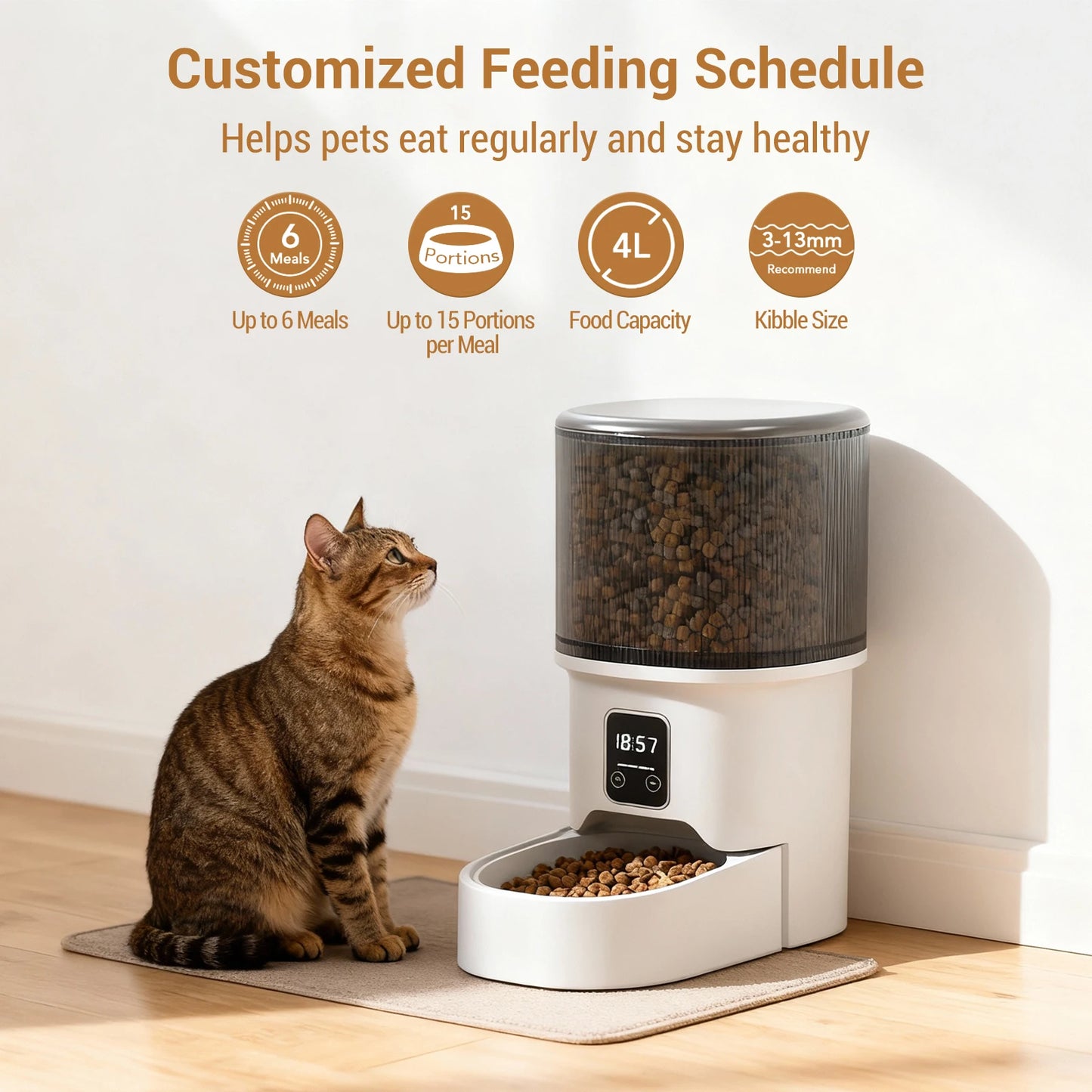 HiMISS Programmable 4L Automatic Pet Feeder for Small Dogs Cats