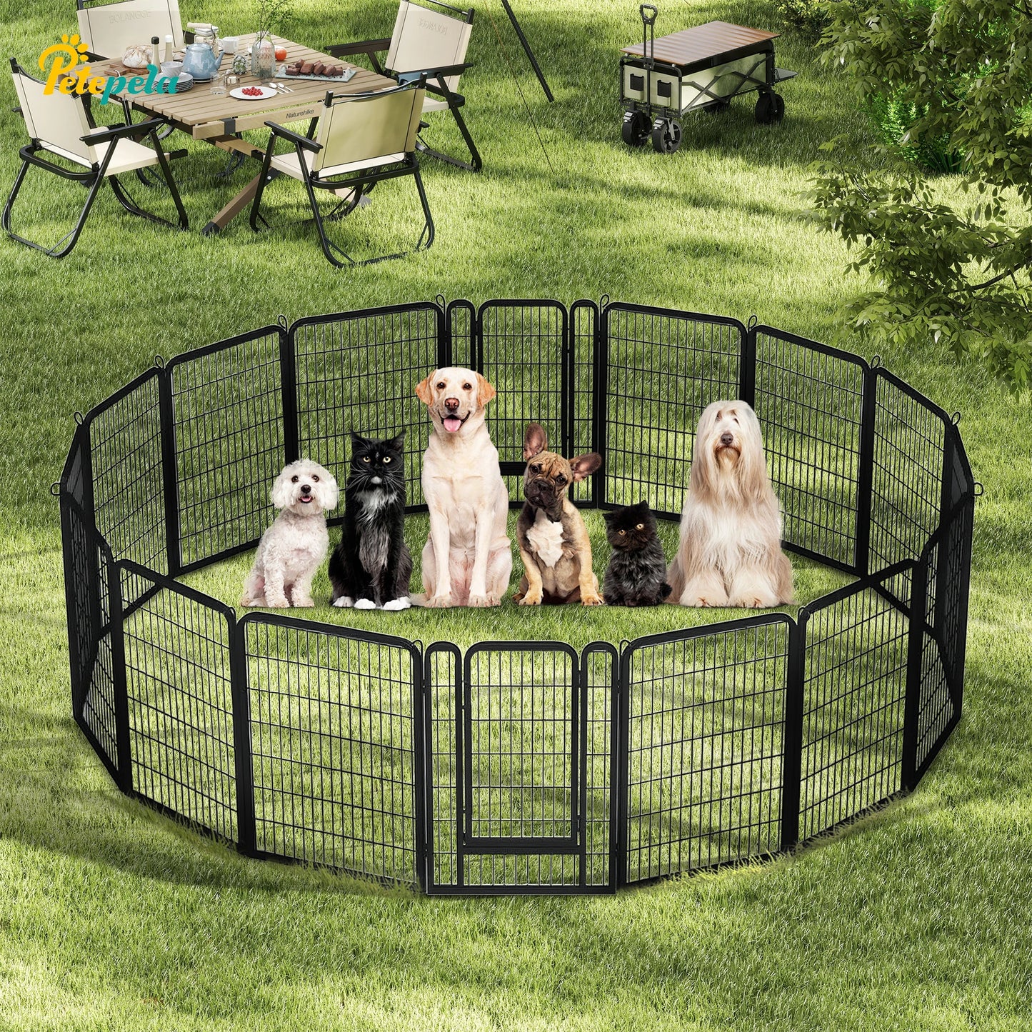 PEQULTI Heavy Duty Metal Puppy Playpen for Indoor Outdoor Use
