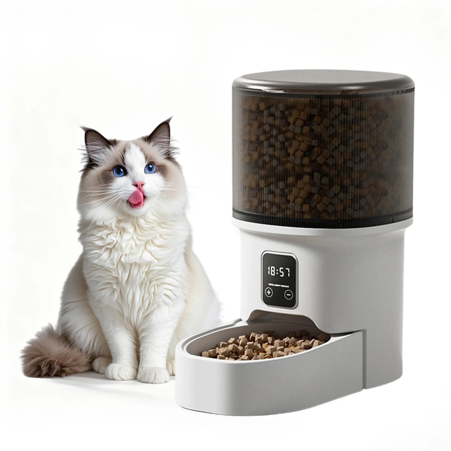 HiMISS Programmable 4L Automatic Pet Feeder for Small Dogs Cats