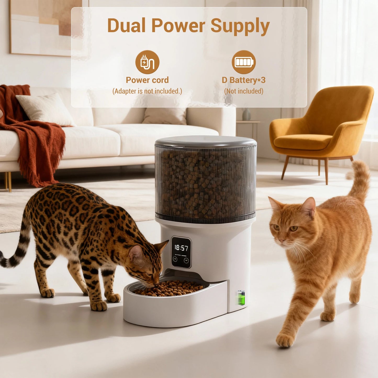 HiMISS Programmable 4L Automatic Pet Feeder for Small Dogs Cats
